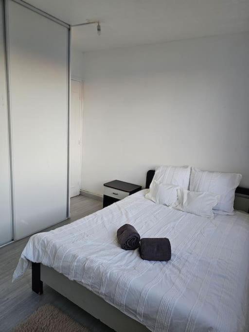Bel Appartement A 舒瓦西勒鲁瓦 外观 照片